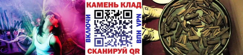 Купить где  Тотьма  Гашиш Cannabis 